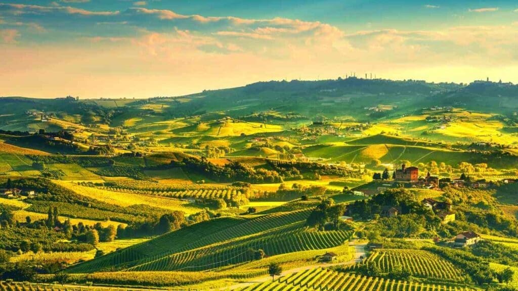 Panoramic view of rolling green hills covered in vineyards, with a few small villages and buildings nestled among them under a warm, hazy sky in Langhe, Piedmont, Italy.