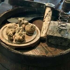 Historic Barolo and Borgogno