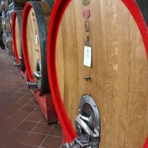 Large botti, warm cellar