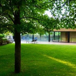 Terraced Schist Vineyards