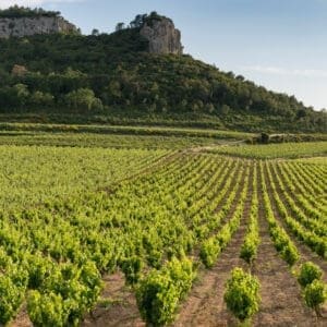 Chateau de roquefort