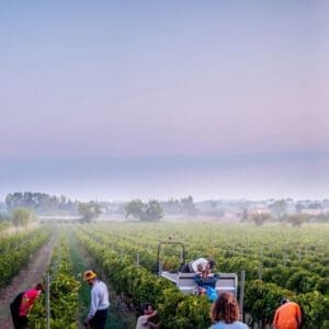 Southern Rhône’s Heritage & Provençal Towns