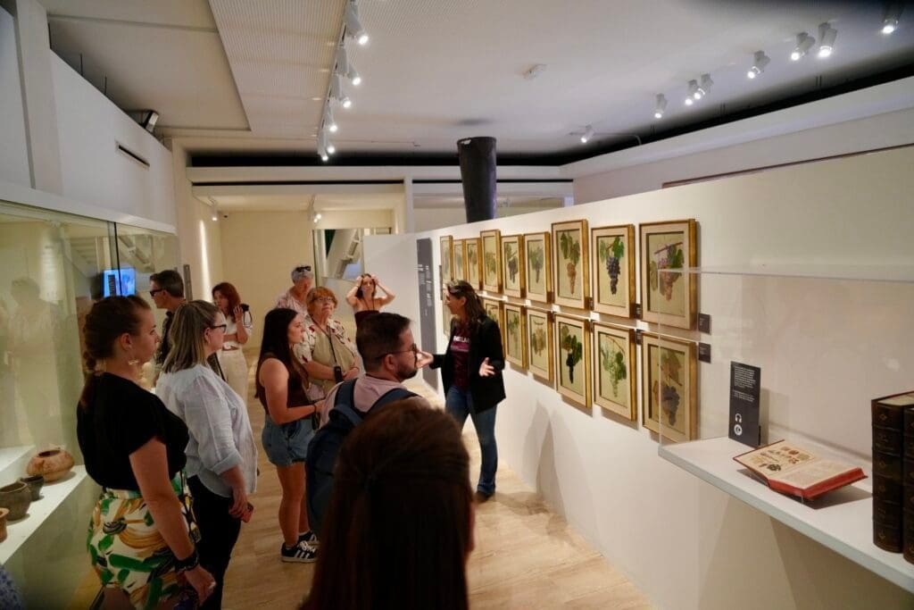 Vinseum in Villafranca 1