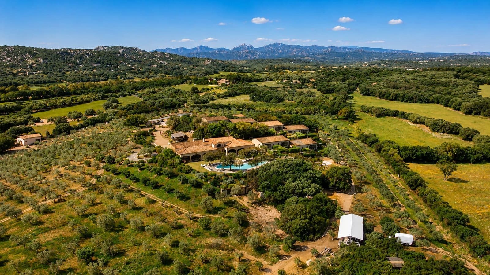 Aerial view of a Sardinian estate with terracotta roofs, a pool, and extensive olive groves.