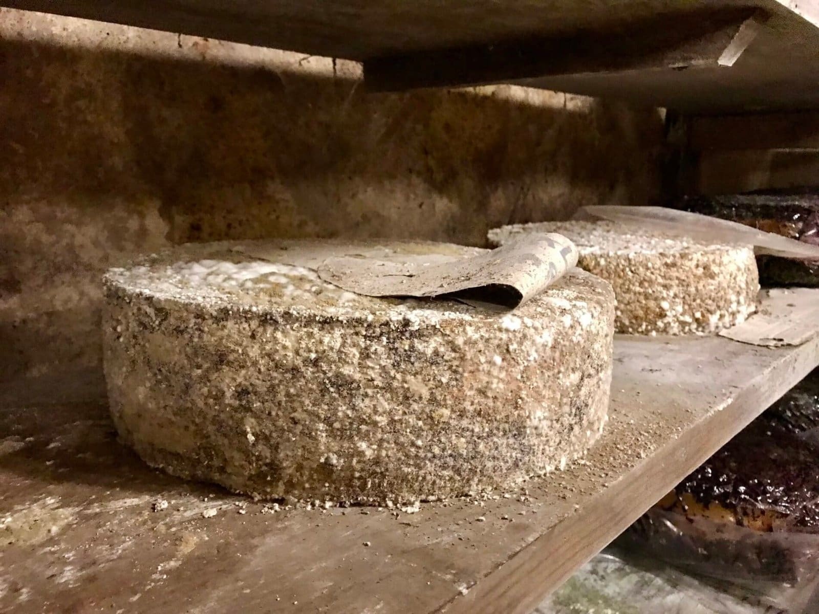 Cheese wheels aging on rustic wooden shelves in a dimly lit cave during a producer visit in Italy